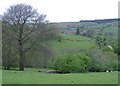 Pen-y-rhiw farm