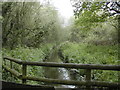 Mudeford Woods