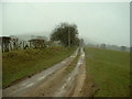 Farm lane to Cefn Draenog