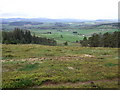 Looking down Learney Hill