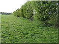 Footpath to Limes Farm