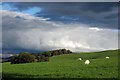 Cloud at Bourock