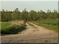 Part of The Essex Way footpath