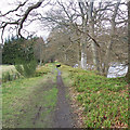 Footpath by the River Tay