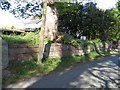 Graveyard Wall at Coddington St Mary