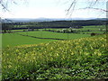 View towards Greenburn Schoolhouse and beyond