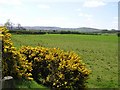 Lettershendoney Townland