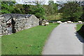 Defaid ac wyn Esgeiriau Sheep and lambs