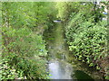 River Wandle in Carshalton