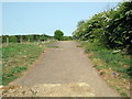 Track to Weekley Hall Wood