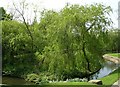 Peel Park Lake