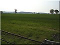 Across the fields to woods at Far Coton