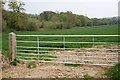 Cereal Crop in a valley-bottom field