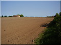 Barn in field near Gopsall Wood