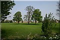 Field at Methwold Hythe