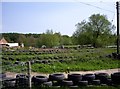 Quad bike track