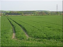 SU1257 : Farmland, North Newnton by Andrew Smith
