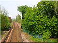 Bridge Over The Pells