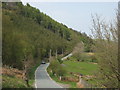 Llechwedd coediog.  Wooded slope.