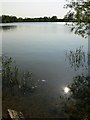 : Saddington Reservoir, Leicestershire by Mat Fascione