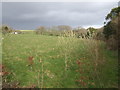 Pasture land south of Brill