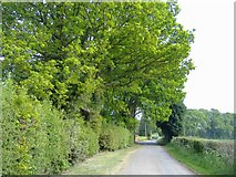 SO7871 : Jennings Wood Lane by Roger Cornfoot
