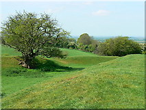 SU1591 : Castle Hill fort, Blunsdon by Brian Robert Marshall