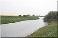 The Kyme Eau near Chapel Hill