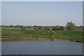 Mouth of the Horncastle Canal