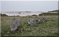 Stone Circle with modern china clay works.