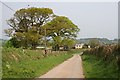 Approaching Northdown Cottages