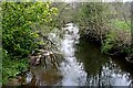 The River Inny from Bealsmill Bridge