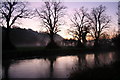 Coed ger yr afon Elwy. Trees by river Elwy