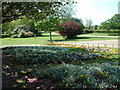 King Georges Playing Fields, Brentwood