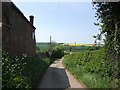 Bridleway at Cross Lane Head