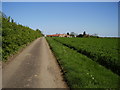 Footpath / farm track