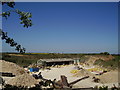 Metheringham Quarry - through a gap in the hedge