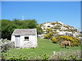 A stable and an elderly horse at Bodafon