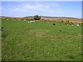 Upper Alla Townland