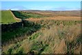 Wall, Sleddale