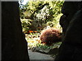 Through the rocks at the Fossil Grove rock garden