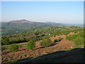 Slopes above Pant y Rhiw