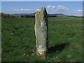 NH6869 : Symbol Stone, Rosskeen Farm by Sandy MacLennan