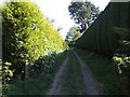 Footpath south of Roydon