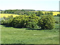 Countryside south of Standon