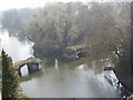 SP2864 : River Avon adjacent to Warwick Castle by Chris Gunns