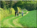 ST7651 : Walkers on the Macmillan Way approaching Buckland Dinham, Somerset by Brian Robert Marshall