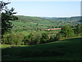 Looking towards the Offwell Brook valley