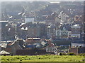 Whitby from path at rear of Abbey House