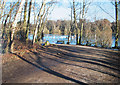 Long winter shadows on Shakerley Mere